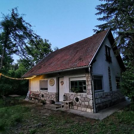 Villa Irofeszek Vendeghaz Zebegény Exterior foto