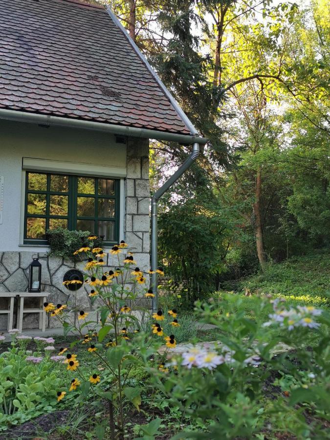 Villa Irofeszek Vendeghaz Zebegény Exterior foto