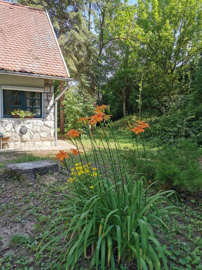 Villa Irofeszek Vendeghaz Zebegény Exterior foto